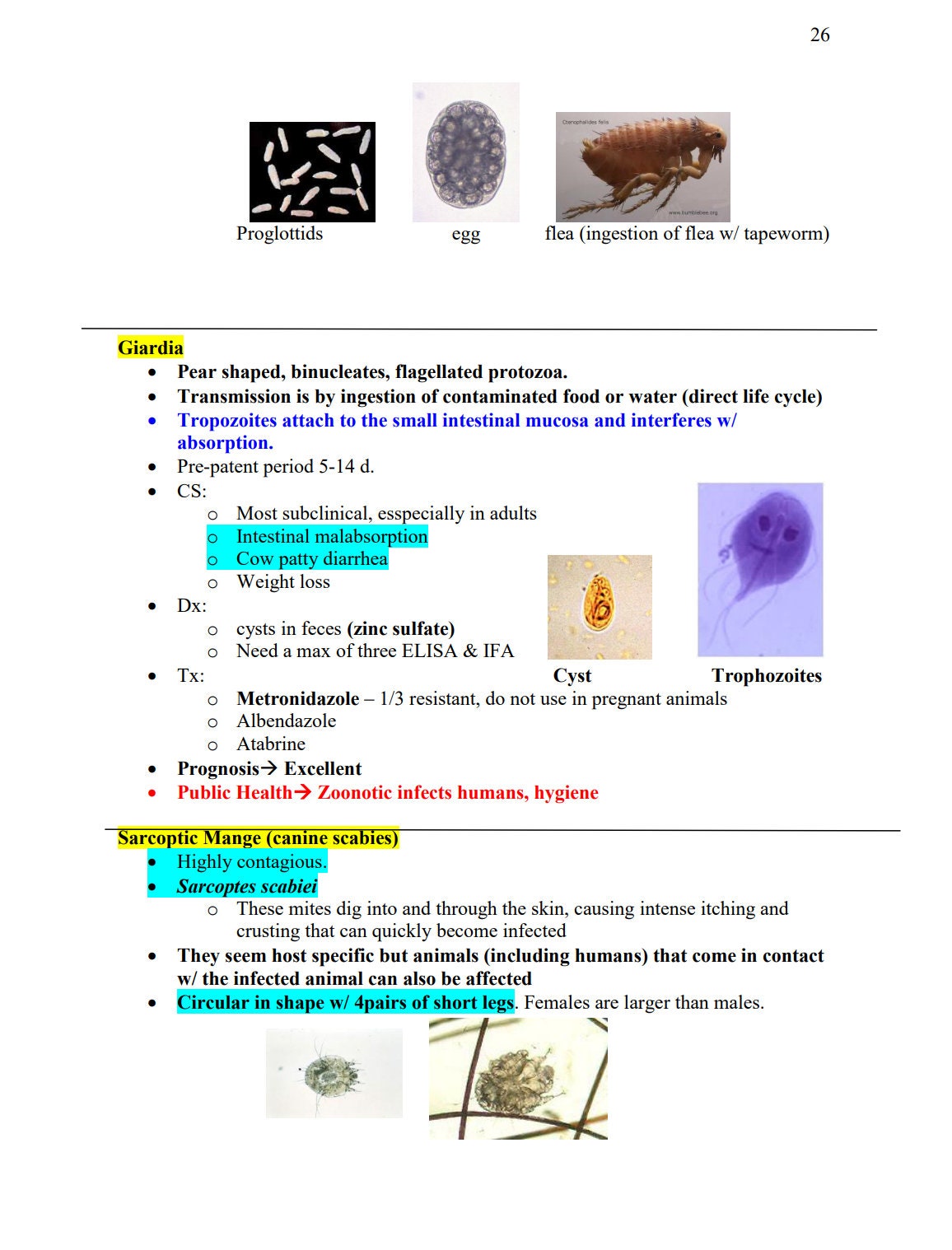 NAVLE Success Bundle: NAVLE Prep Guide - Comprehensive NAVLE Study Guide - Master Veterinary Exams - Ultimate Navle Prep Guide