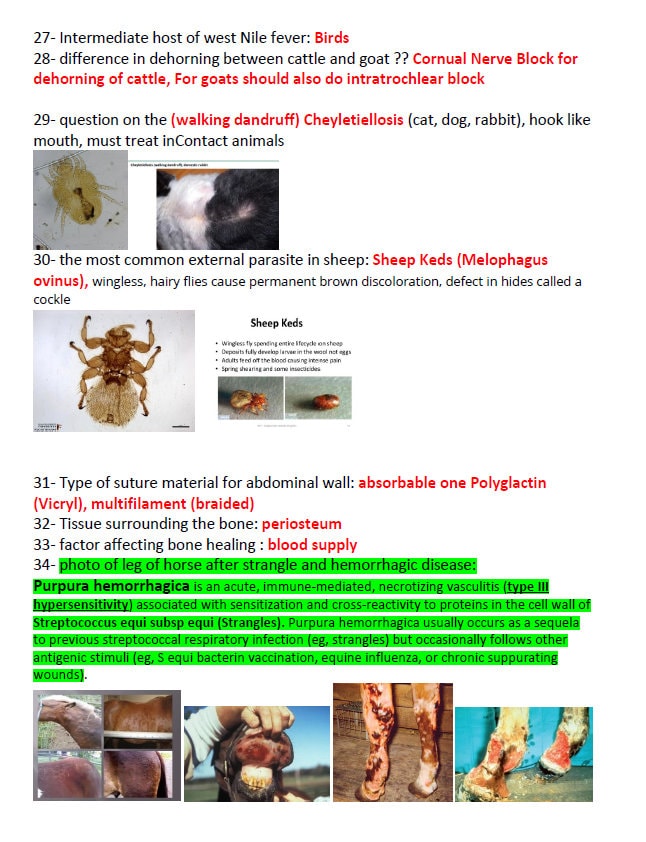 BCSE Comprehensive Notes with Past Questions and Answers - Complete BCSE Study Guide - BCSE Notes for Bcse Prep