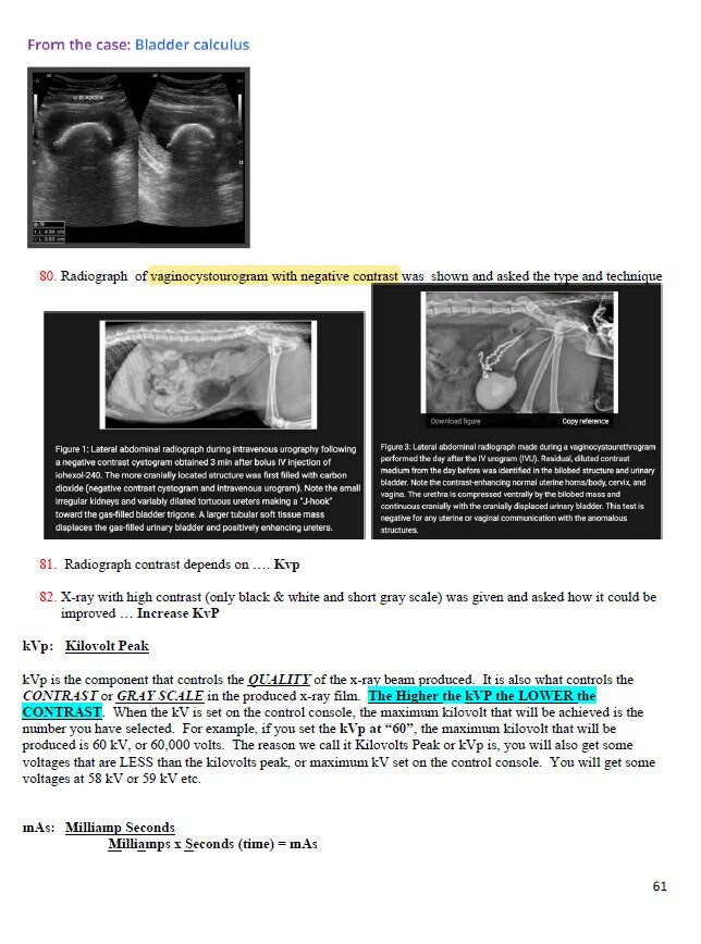BCSE Comprehensive Notes with Past Questions and Answers - Complete BCSE Study Guide - BCSE Notes for Bcse Prep