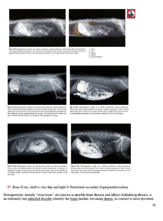 BCSE Comprehensive Notes with Past Questions and Answers - Complete BCSE Study Guide - BCSE Notes for Bcse Prep