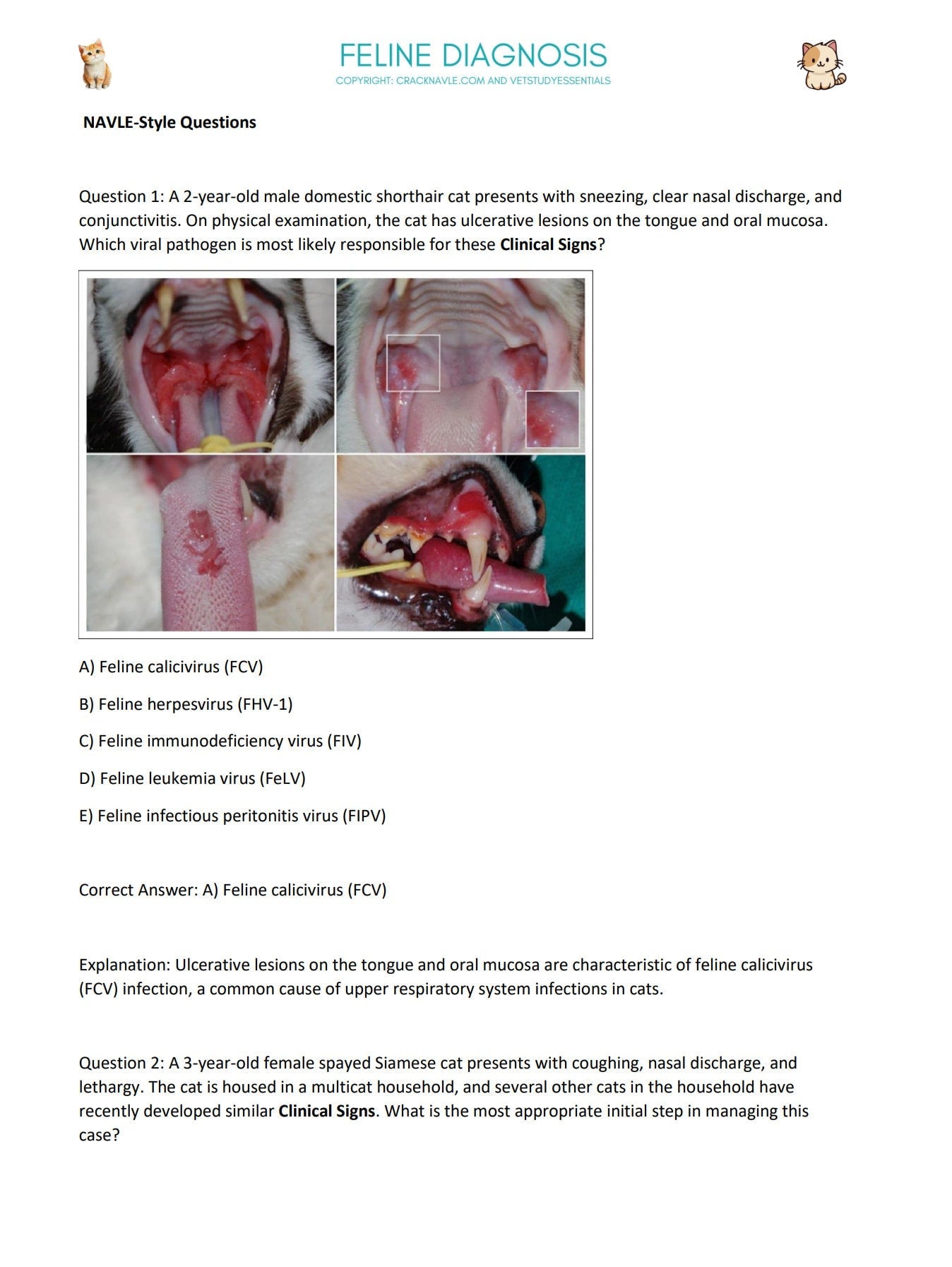 Canine, Feline, Bovine, Equine ICVA Diagnosis for NAVLE with 3 NAVLE styled Questions of each topic - Ultimate Navle Prep Guide - Navle
