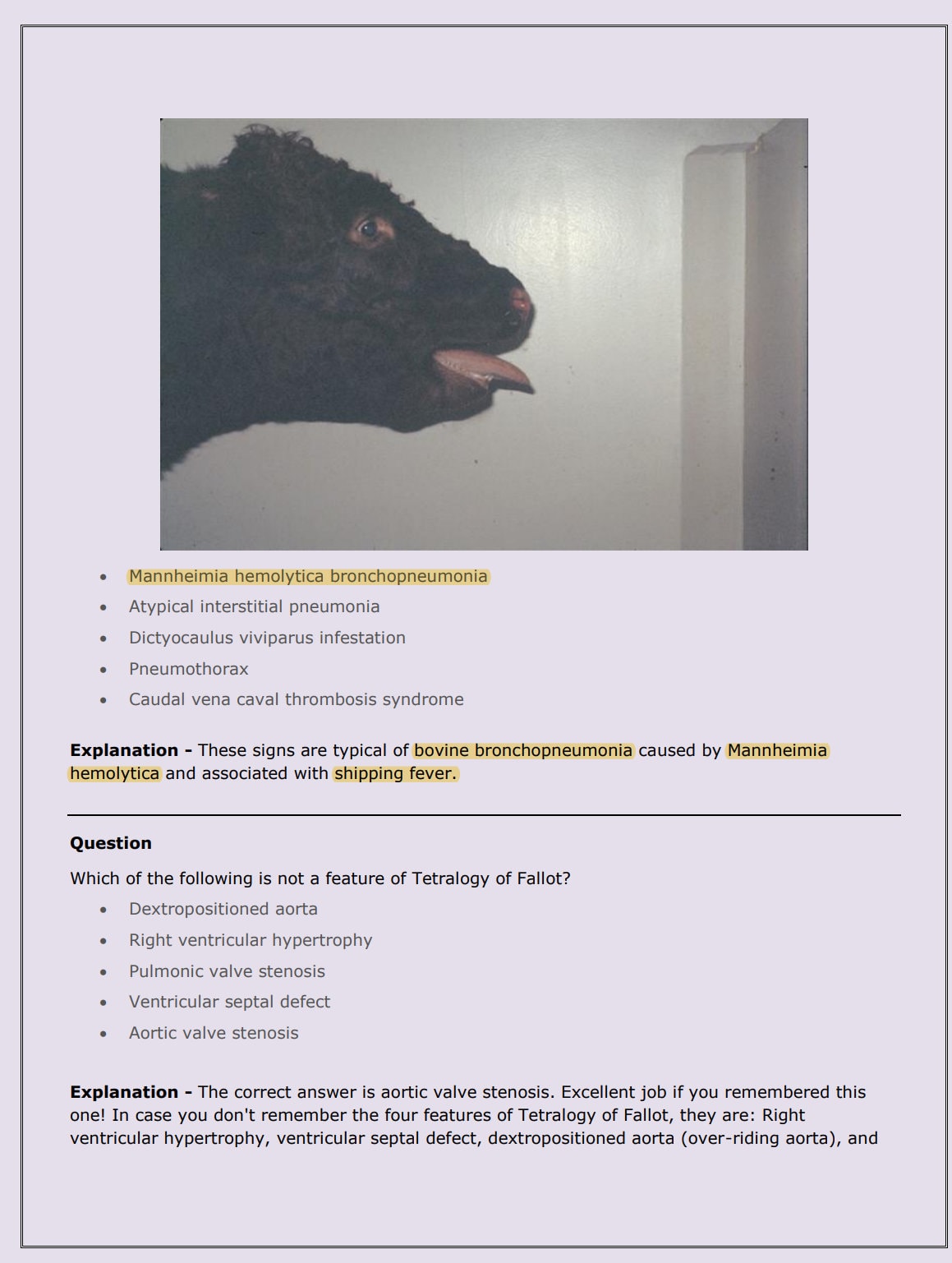 Ultimate Bovine NAVLE Questions Bank for NAVLE Prep - Comprehensive NAVLE Prep Guide - Navle Exam Question with Answers - 528 Pages