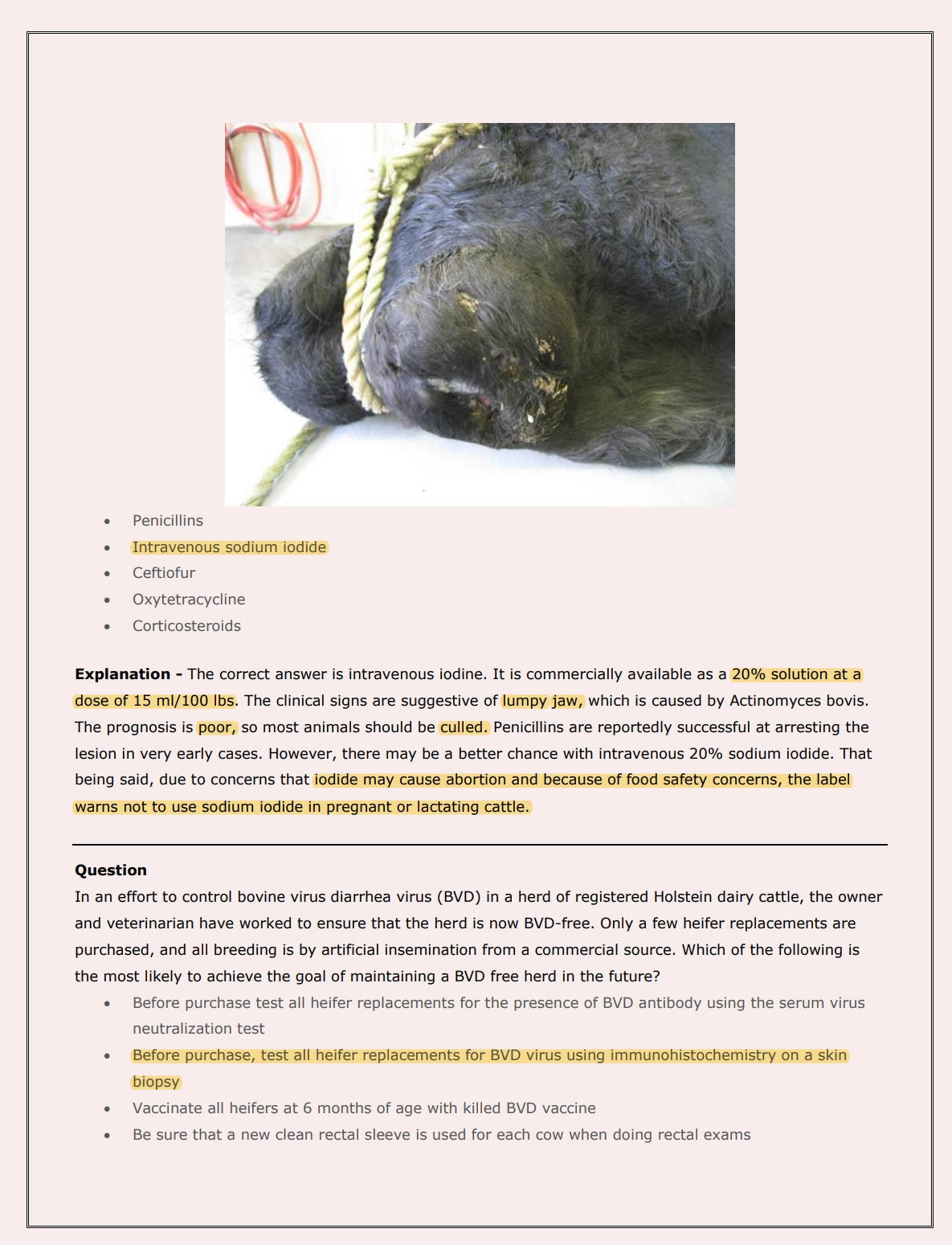 Ultimate Bovine NAVLE Questions Bank for NAVLE Prep - Comprehensive NAVLE Prep Guide - Navle Exam Question with Answers - 528 Pages