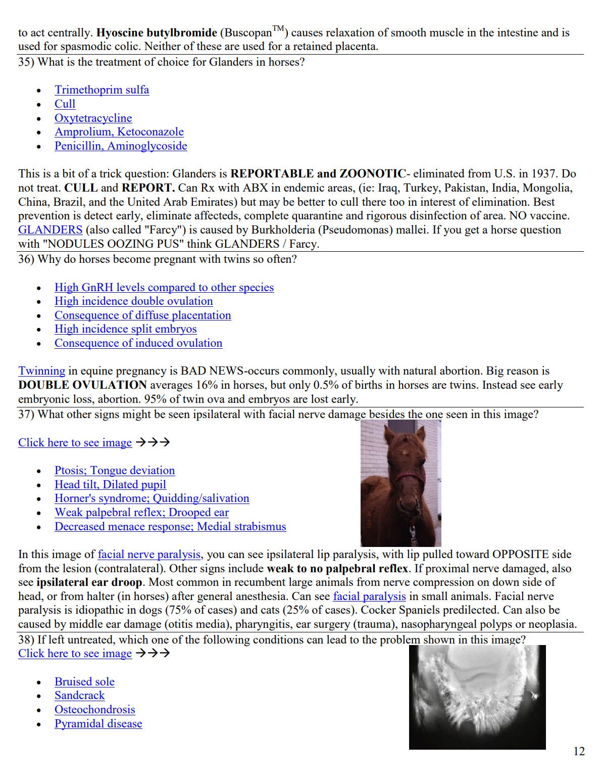 Ultimate Equine NAVLE Questions Bank for NAVLE Prep - Comprehensive NAVLE Prep Guide - Navle Exam Question with Answers - 159 Pages