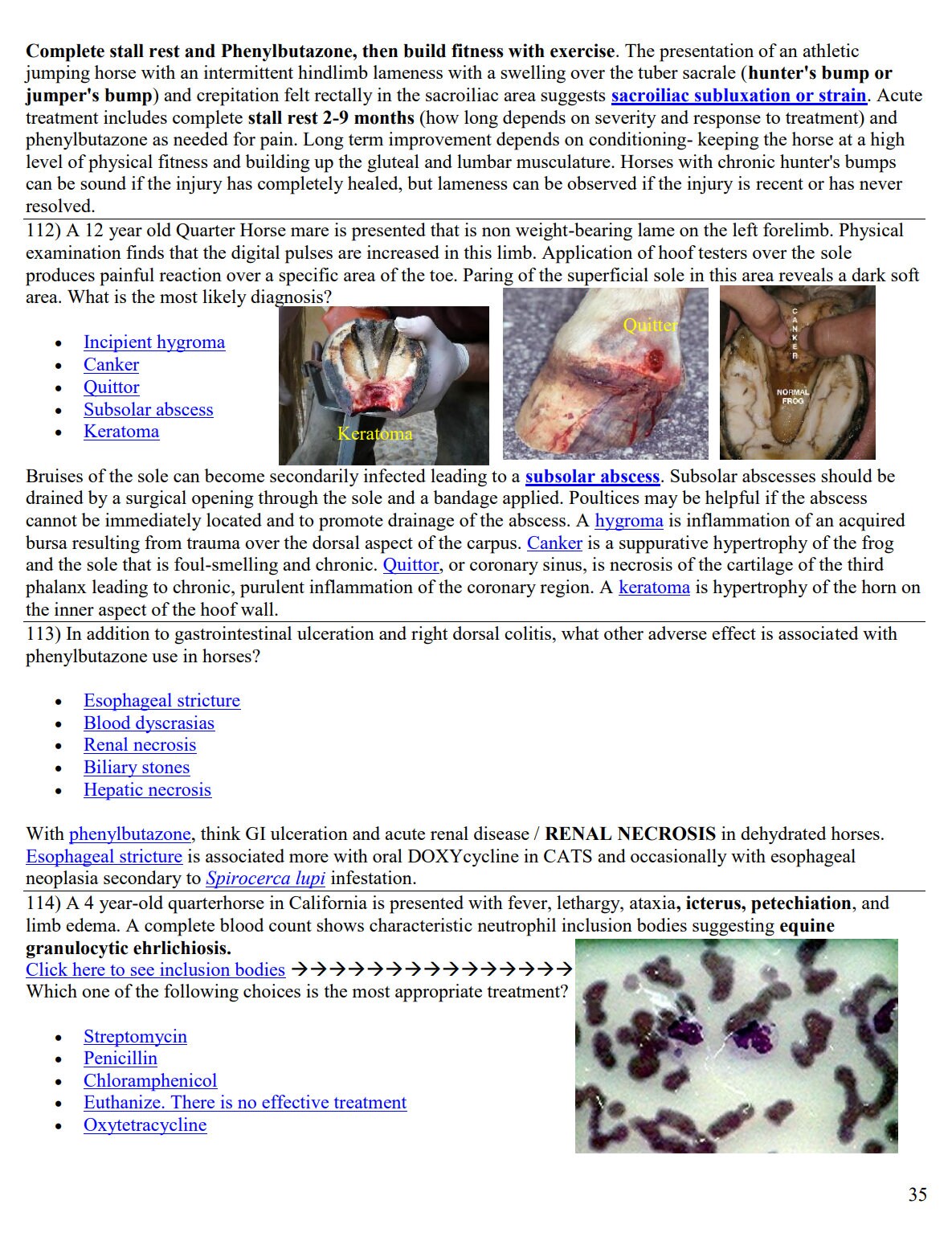 Ultimate Equine NAVLE Questions Bank for NAVLE Prep - Comprehensive NAVLE Prep Guide - Navle Exam Question with Answers - 159 Pages