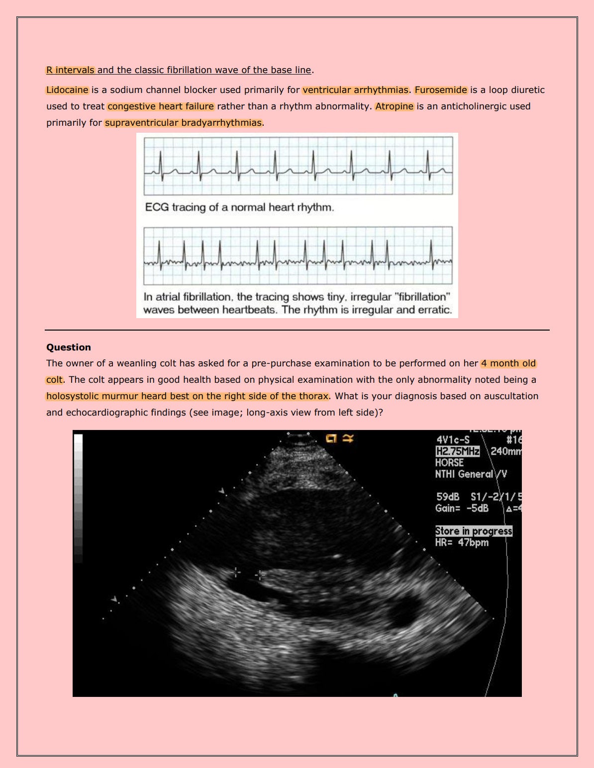 Equine NAVLE Questions Bank for NAVLE Prep - Comprehensive NAVLE Prep Guide - Navle Exam Question with Answers - 888 Pages with Equine Notes