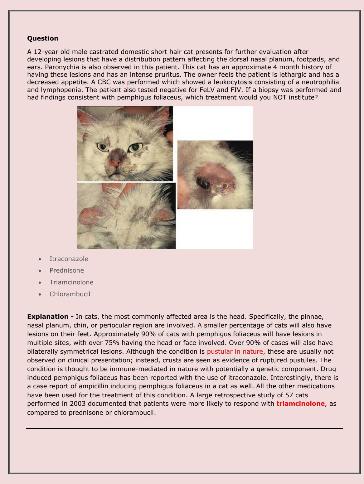 Feline NAVLE Questions Bank for NAVLE Prep - Comprehensive NAVLE Prep Guide - Navle Exam Question with Answers - 1158 Pages