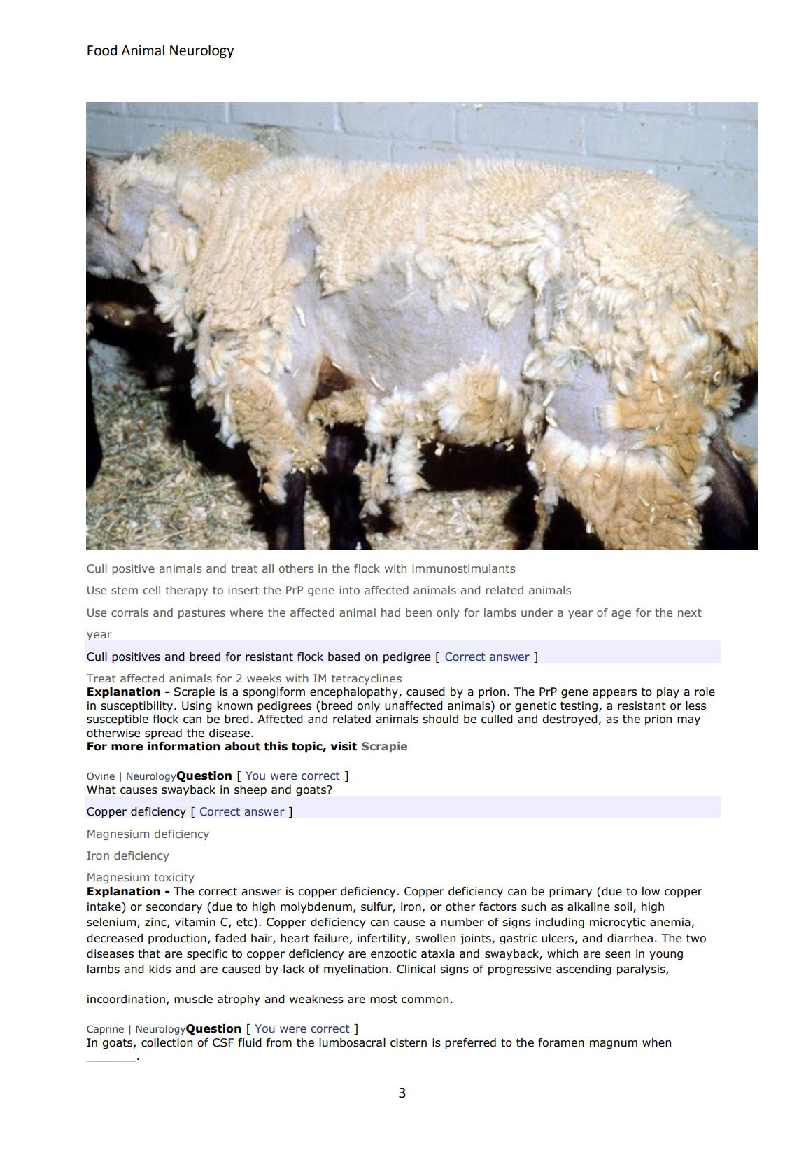Ultimate Food Animals NAVLE Questions Bank for NAVLE Prep - Comprehensive NAVLE Prep Guide - Navle Exam Question with Answers - 118 Pages