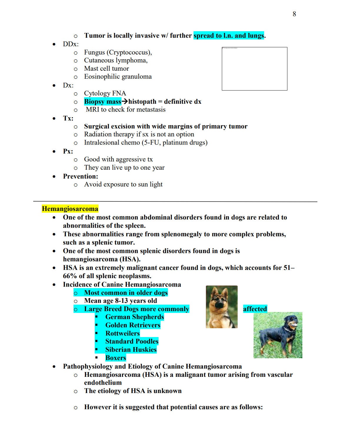 NAVLE Success Bundle: NAVLE Prep Guide - Comprehensive NAVLE Study Guide - Master Veterinary Exams - Ultimate Navle Prep Guide