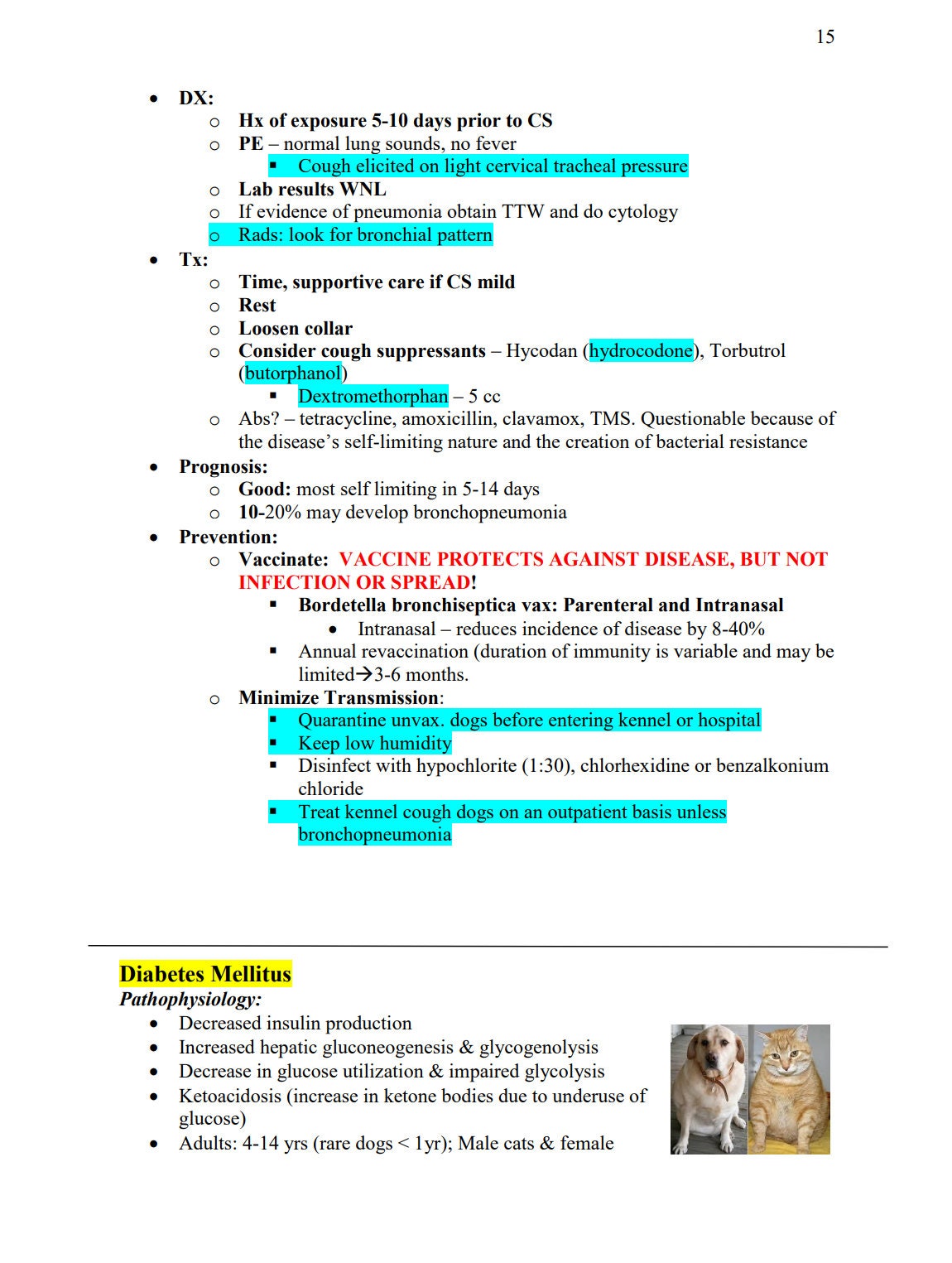 NAVLE Success Bundle: NAVLE Prep Guide - Comprehensive NAVLE Study Guide - Master Veterinary Exams - Ultimate Navle Prep Guide