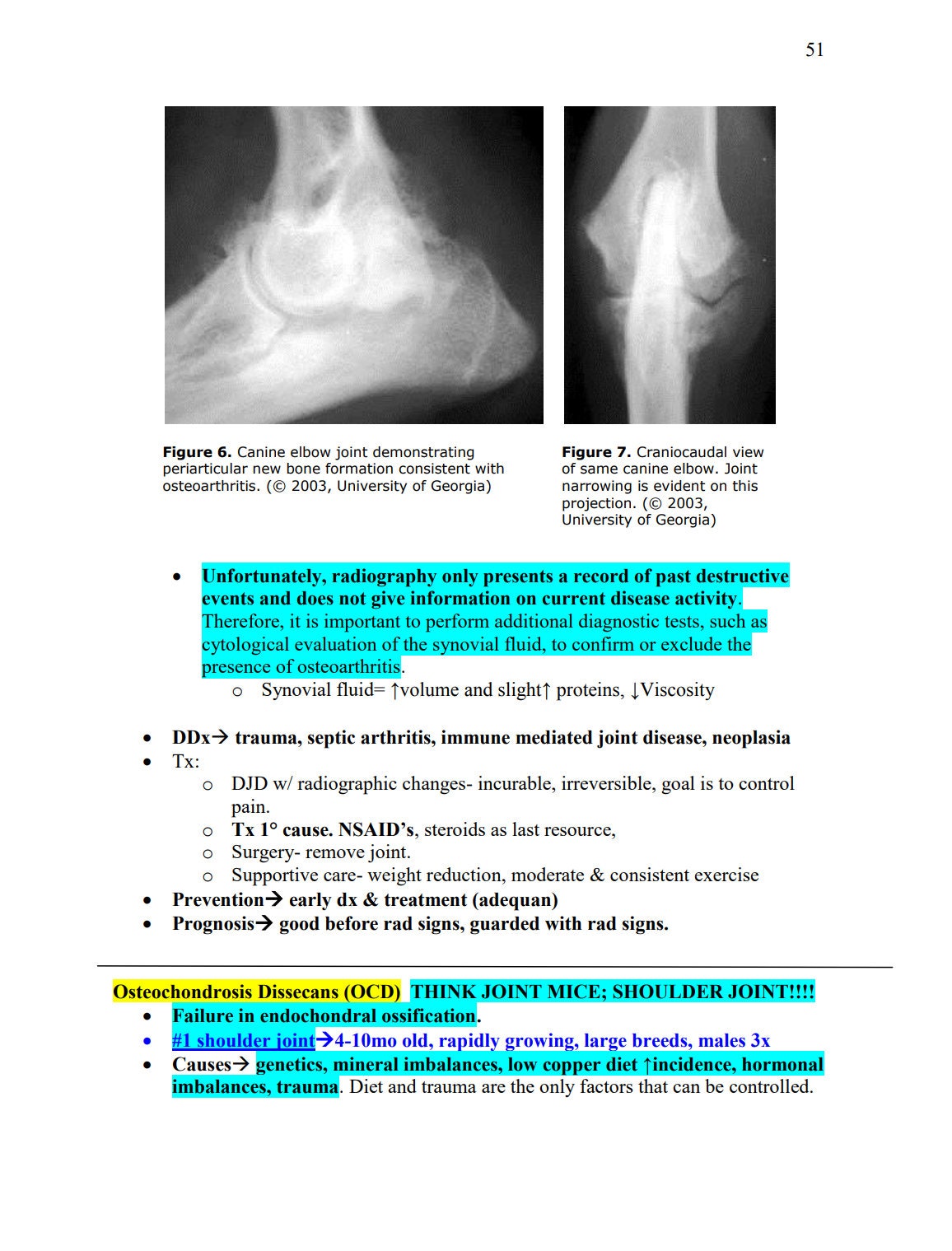 NAVLE Success Bundle: NAVLE Prep Guide - Comprehensive NAVLE Study Guide - Master Veterinary Exams - Ultimate Navle Prep Guide