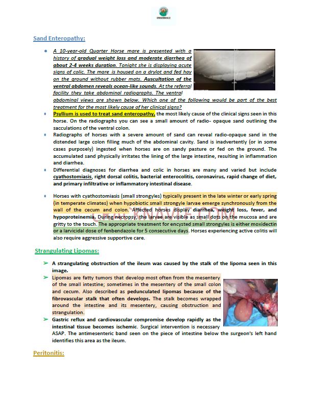 ICVA Based Topics - Feline, Equine, Bovine, Canine, Porcine, Small Ruminants - Comprehensive and Concise ICVA based Topics for NAVLE Prep for major species