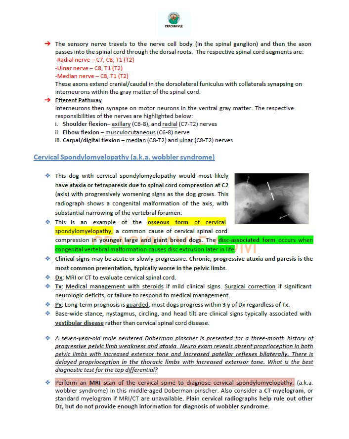 ICVA Based Topics - Canine - Comprehensive and Concise ICVA based Topics for NAVLE Prep for CANINES