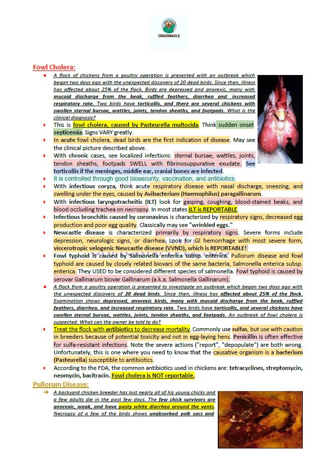 ICVA Based Topics - Feline, Equine, Bovine, Canine, Porcine, Small Ruminants - Comprehensive and Concise ICVA based Topics for NAVLE Prep for major species