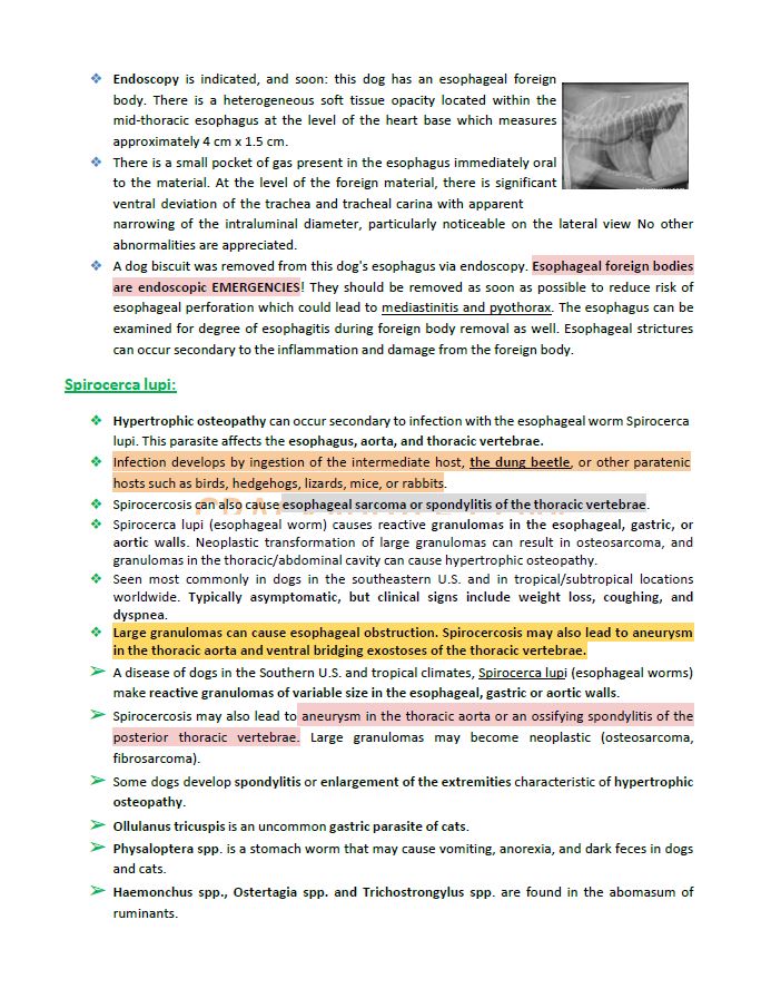 ICVA Based Topics - Canine - Comprehensive and Concise ICVA based Topics for NAVLE Prep for CANINES