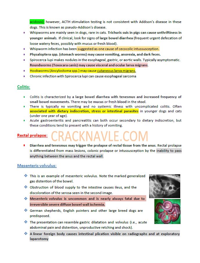 ICVA Based Topics - Canine - Comprehensive and Concise ICVA based Topics for NAVLE Prep for CANINES