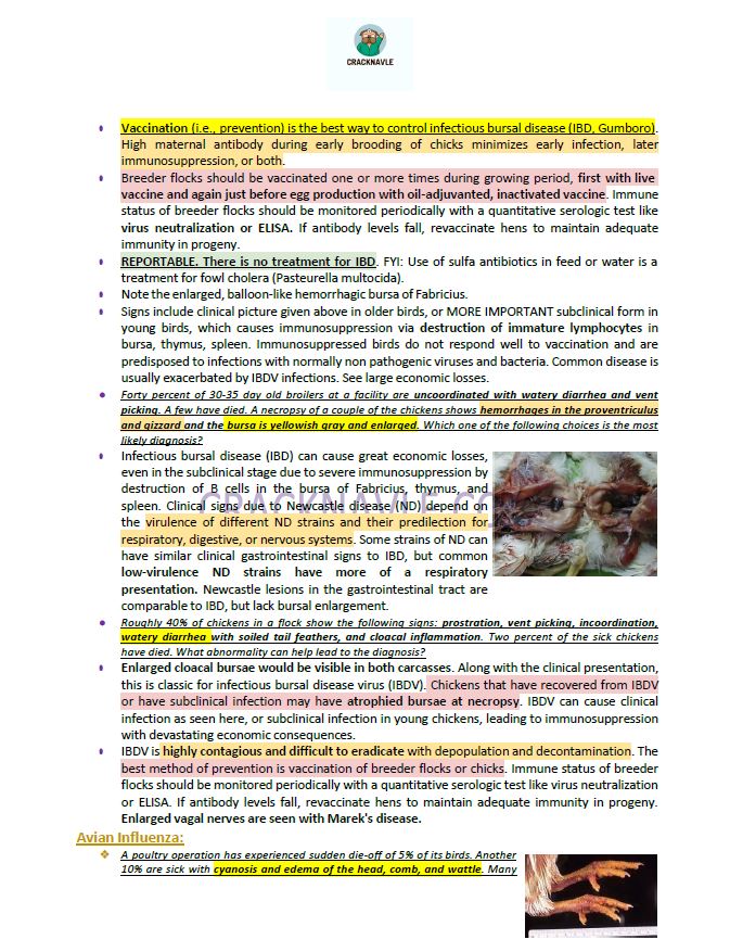 ICVA Based Topics - Poultry - Comprehensive and Concise ICVA based Topics for NAVLE Prep for POULTRY