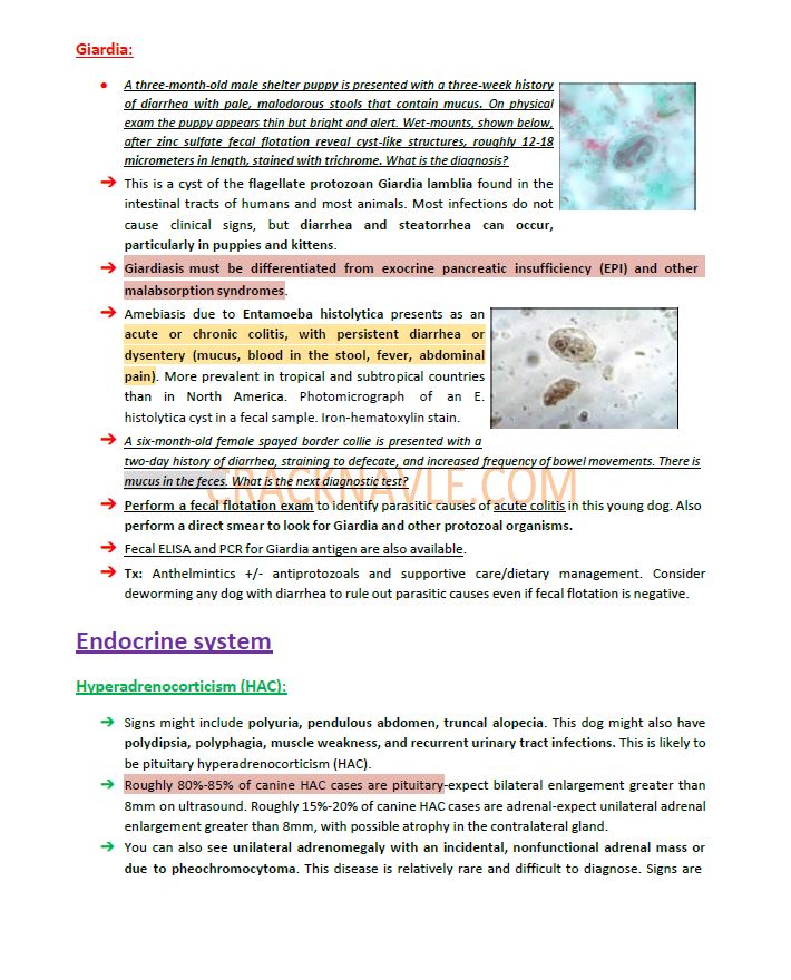 ICVA Based Topics - Canine - Comprehensive and Concise ICVA based Topics for NAVLE Prep for CANINES