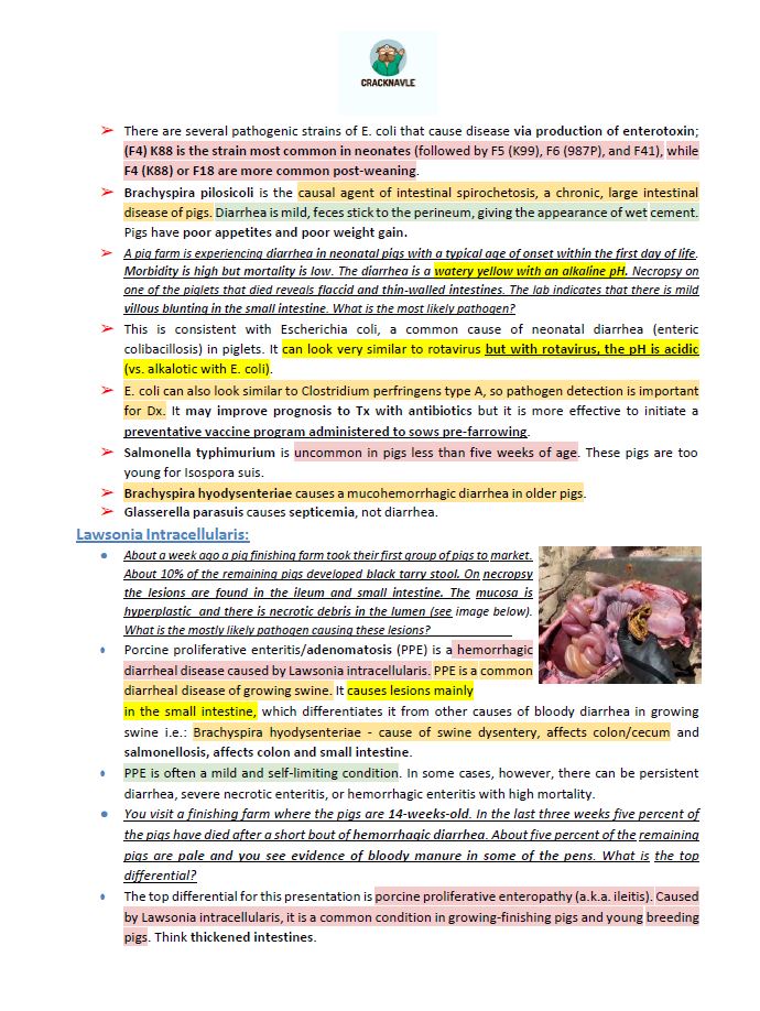 ICVA Based Topics - Porcine - Comprehensive and Concise ICVA based Topics for NAVLE Prep for PORCINE