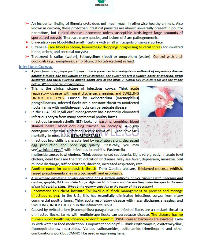 ICVA Based Topics - Poultry - Comprehensive and Concise ICVA based Topics for NAVLE Prep for POULTRY