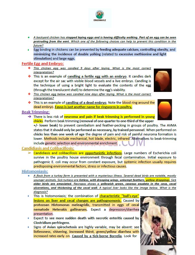 ICVA Based Topics - Poultry - Comprehensive and Concise ICVA based Topics for NAVLE Prep for POULTRY