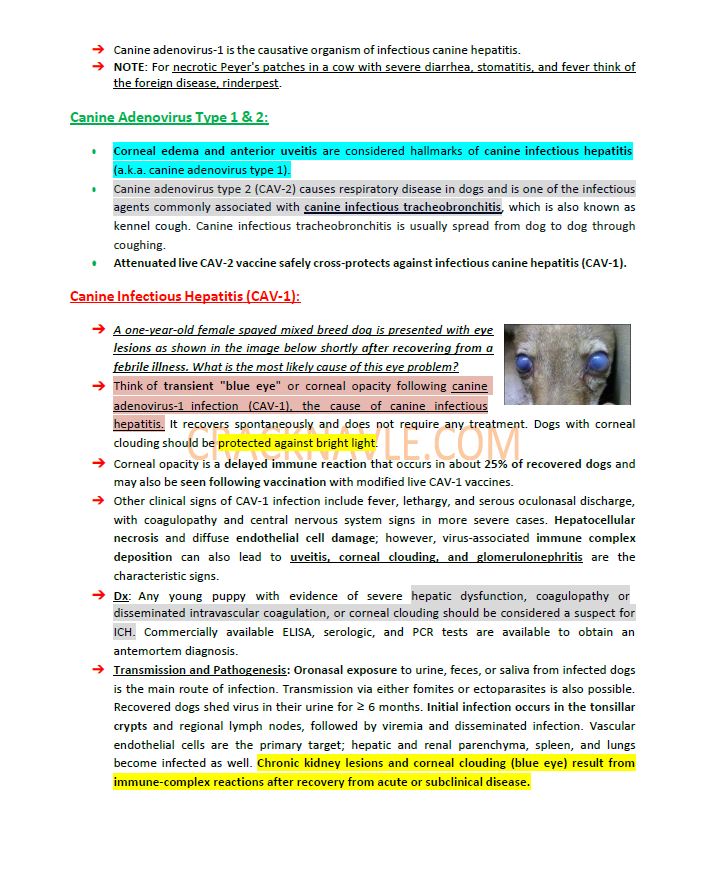 ICVA Based Topics - Canine - Comprehensive and Concise ICVA based Topics for NAVLE Prep for CANINES