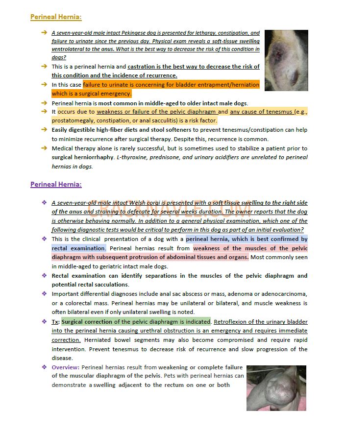 ICVA Based Topics - Feline, Equine, Bovine, Canine, Porcine, Small Ruminants - Comprehensive and Concise ICVA based Topics for NAVLE Prep for major species