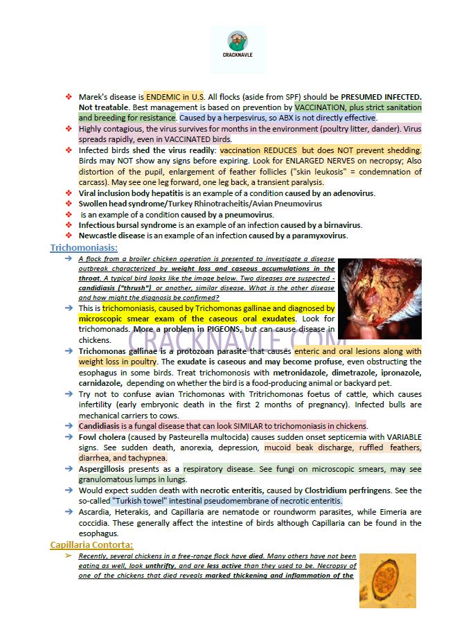 ICVA Based Topics - Poultry - Comprehensive and Concise ICVA based Topics for NAVLE Prep for POULTRY