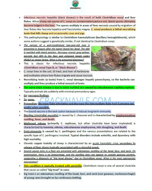 ICVA Based Topics - Small Ruminants - Comprehensive and Concise ICVA based Topics for NAVLE Prep for SMALL RUMINANTS