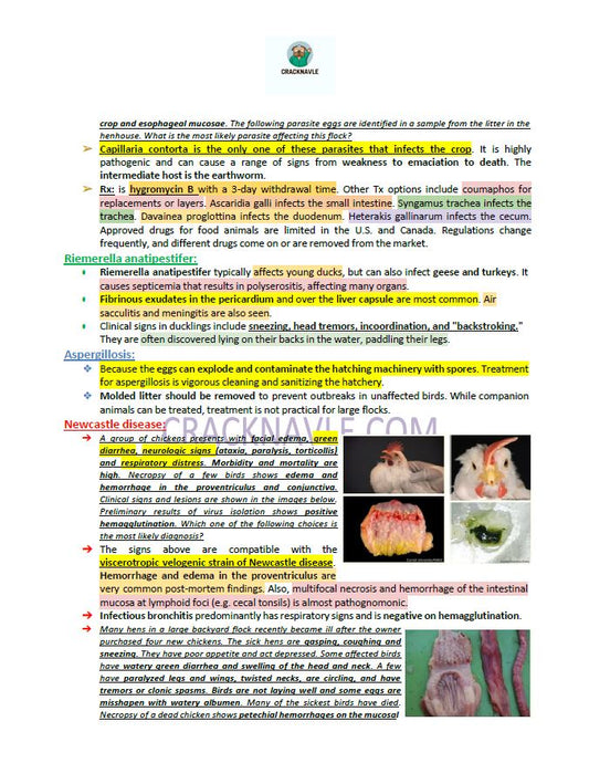 ICVA Based Topics - Poultry - Comprehensive and Concise ICVA based Topics for NAVLE Prep for POULTRY