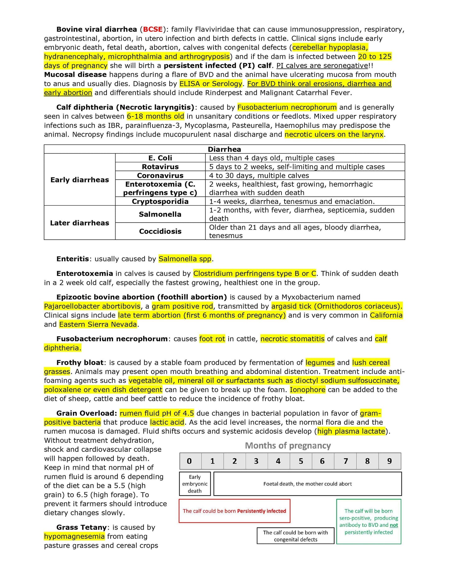 Comprehensive BCSE and NAVLE Study Notes Bundle - Complete BCSE Navle Notes - Ace Your Veterinary Exams!