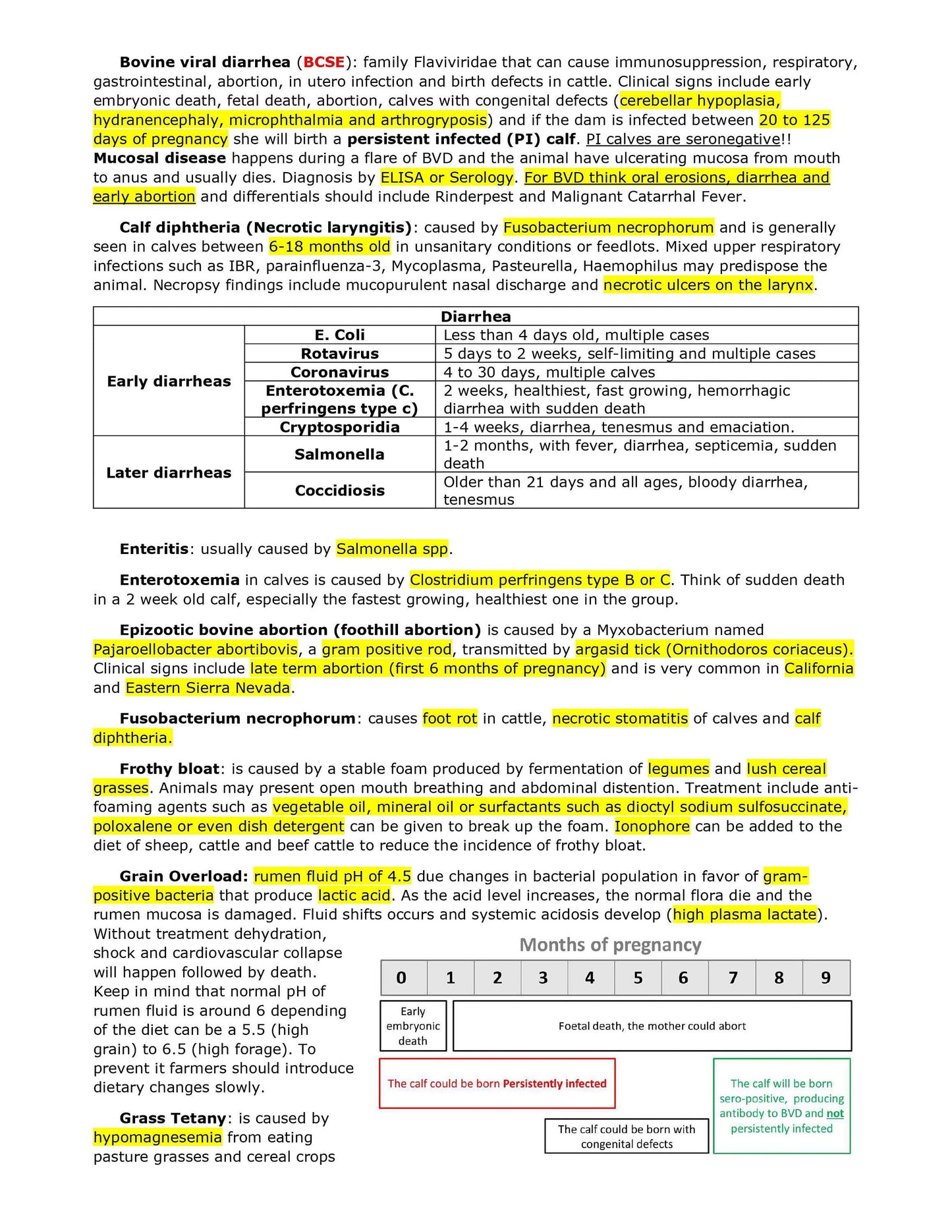 Comprehensive BCSE and NAVLE Study Notes Bundle - Complete BCSE Navle notes - Ace Your Veterinary Exams!