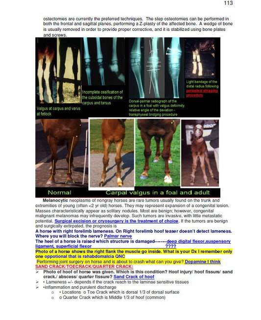 Comprehensive Notes of ALL EQUINE diseases, 200+ Pages - Ace your bcse and NAVLE Study Guide - Study Notes for Vets and Vet Techs