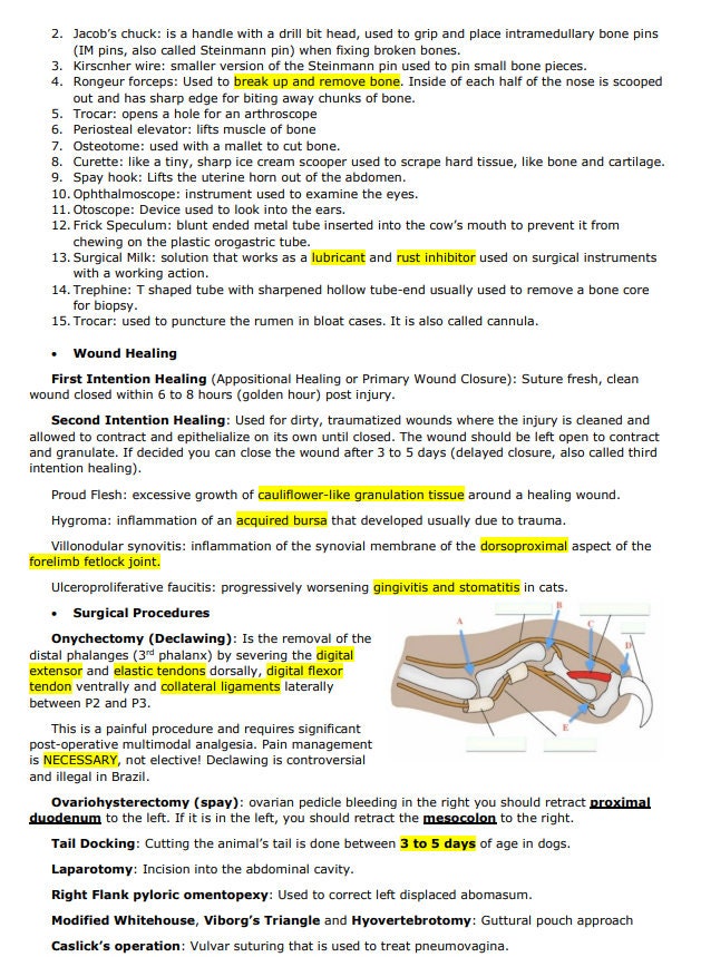 Comprehensive Anesthesiology and Surgery Vet Notes - BCSE and NAVLE Notes