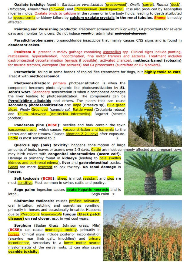 Comprehensive Toxicology Vet Notes - BCSE and NAVLE Notes