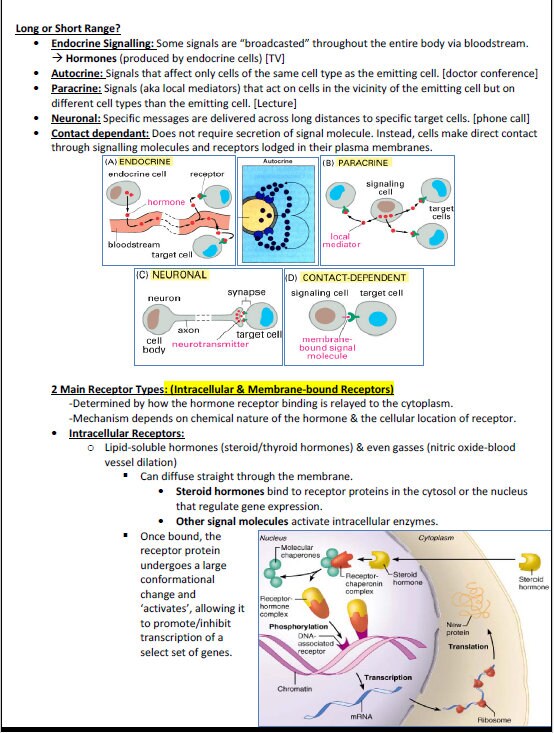 Comprehensive Cellular & Molecular Biology Study Notes PDF - Ideal for NCLEX, USMLE Exam Prep - Best for Medical, Nursing and Bio Students