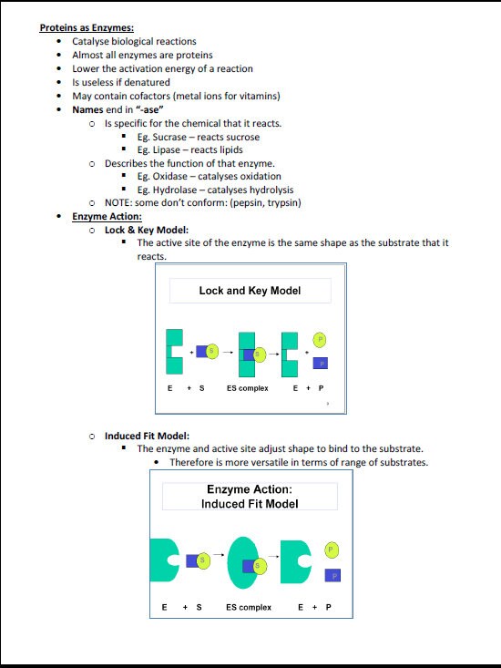 Comprehensive Cellular & Molecular Biology Study Notes PDF - Ideal for NCLEX, USMLE Exam Prep - Best for Medical, Nursing and Bio Students