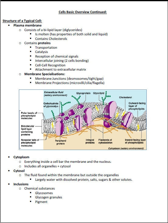 Comprehensive Cellular & Molecular Biology Study Notes PDF - Ideal for NCLEX, USMLE Exam Prep - Best for Medical, Nursing and Bio Students