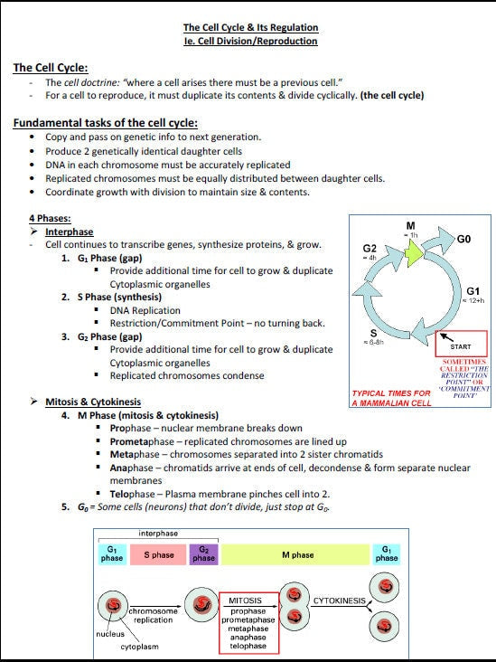 Comprehensive Cellular & Molecular Biology Study Notes PDF - Ideal for NCLEX, USMLE Exam Prep - Best for Medical, Nursing and Bio Students