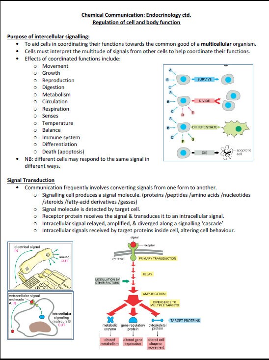 Comprehensive Cellular & Molecular Biology Study Notes PDF - Ideal for NCLEX, USMLE Exam Prep - Best for Medical, Nursing and Bio Students