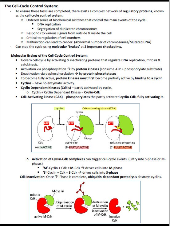 Comprehensive Cellular & Molecular Biology Study Notes PDF - Ideal for NCLEX, USMLE Exam Prep - Best for Medical, Nursing and Bio Students