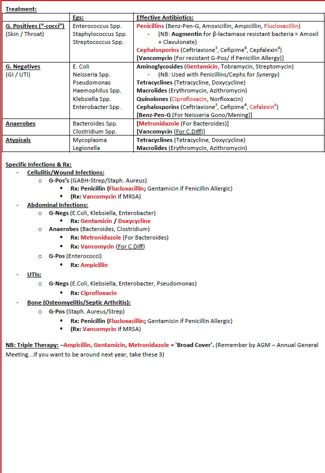 Comprehensive Emergency Medicine Study Guide: Illustrated PDF Notes - Ideal for NCLEX, USMLE Exam Prep - 189 Pages