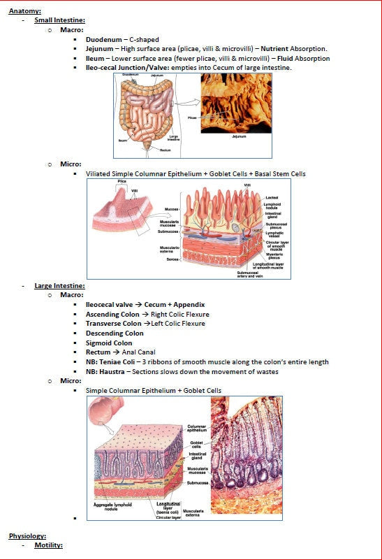 Comprehensive Gastrointestinal System Notes - Ideal for NCLEX, USMLE Exam Prep - 313 Pages - Best for Medical and Nursing Students