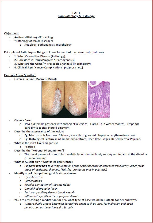 Comprehensive Dermatology Study Notes PDF - Ideal for NCLEX, USMLE Exam Prep - 138Pages - Best for Medical and Nursing Students