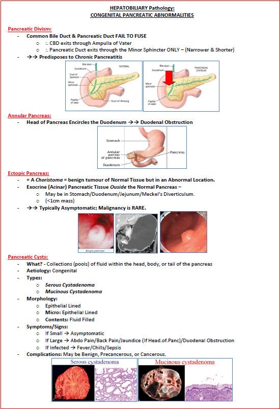 Comprehensive Gastrointestinal System Notes - Ideal for NCLEX, USMLE Exam Prep - 313 Pages - Best for Medical and Nursing Students