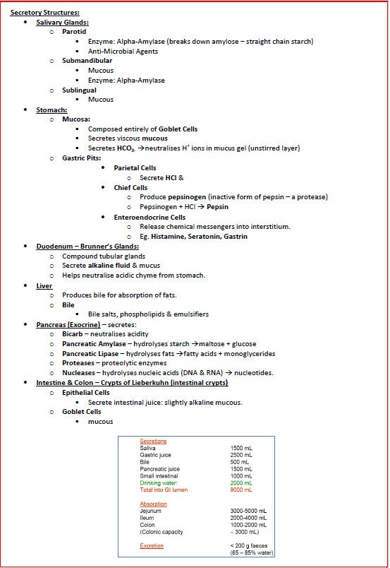 Comprehensive Gastrointestinal System Notes - Ideal for NCLEX, USMLE Exam Prep - 313 Pages - Best for Medical and Nursing Students