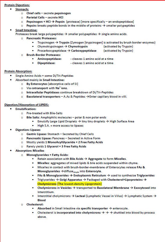 Comprehensive Gastrointestinal System Notes - Ideal for NCLEX, USMLE Exam Prep - 313 Pages - Best for Medical and Nursing Students