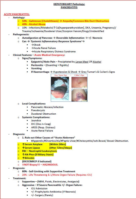 Comprehensive Gastrointestinal System Notes - Ideal for NCLEX, USMLE Exam Prep - 313 Pages - Best for Medical and Nursing Students