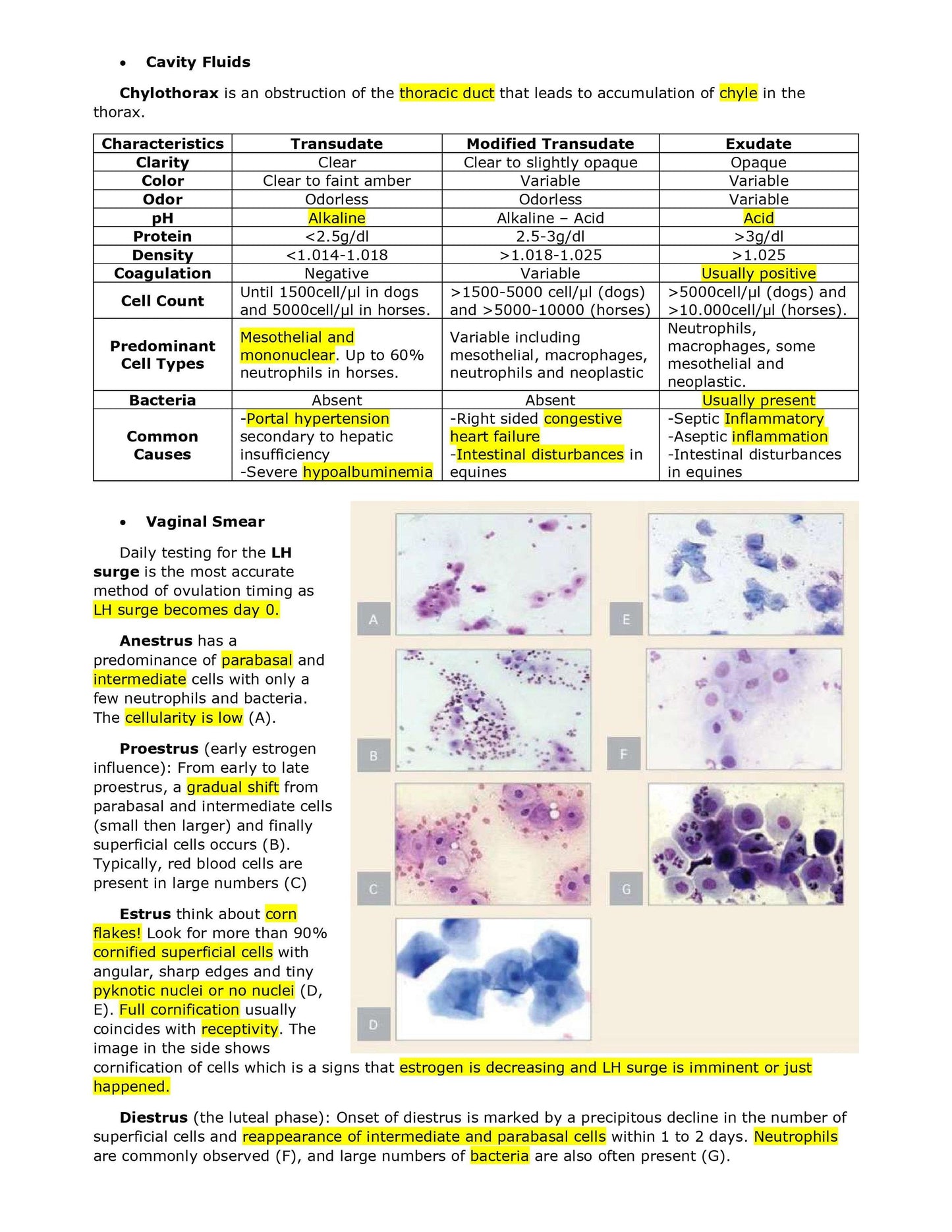 Comprehensive BCSE Study Notes - Complete BCSE Study Notes Bundle - Your Key to NAVLE and Veterinary Specialization Success