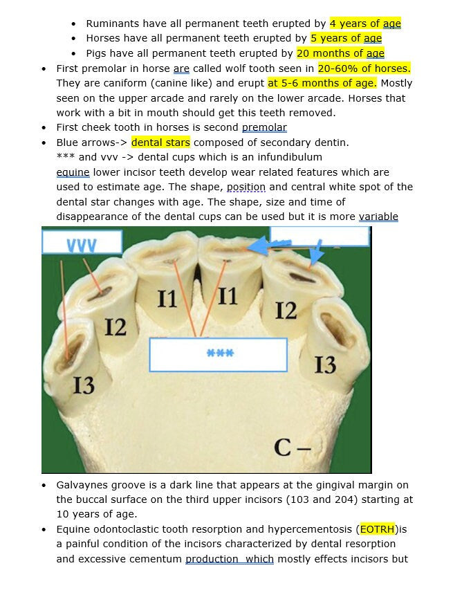 Comprehensive BCSE and NAVLE Study Notes Bundle: Complete BCSE and Navle Notes - Bullet Points - 516 Pages with Images